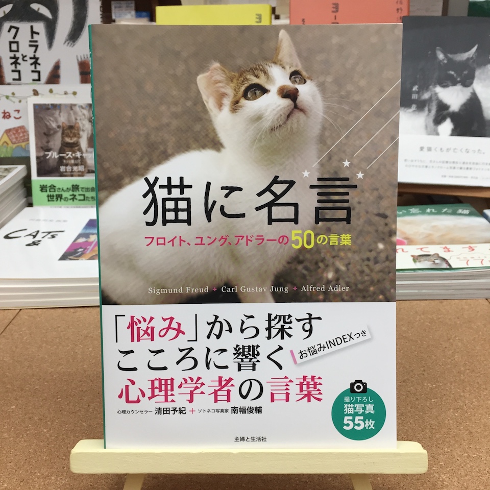 猫に名言フロイト ユング アドラーの50の言葉 清田 予紀 南幅 俊輔 主婦と生活社 Book 54 Article Premium アンド プレミアム