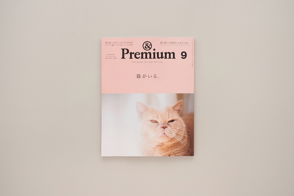 A Life with Cats ／ 猫がいる。 – &Premium No. 45 | & Premium
