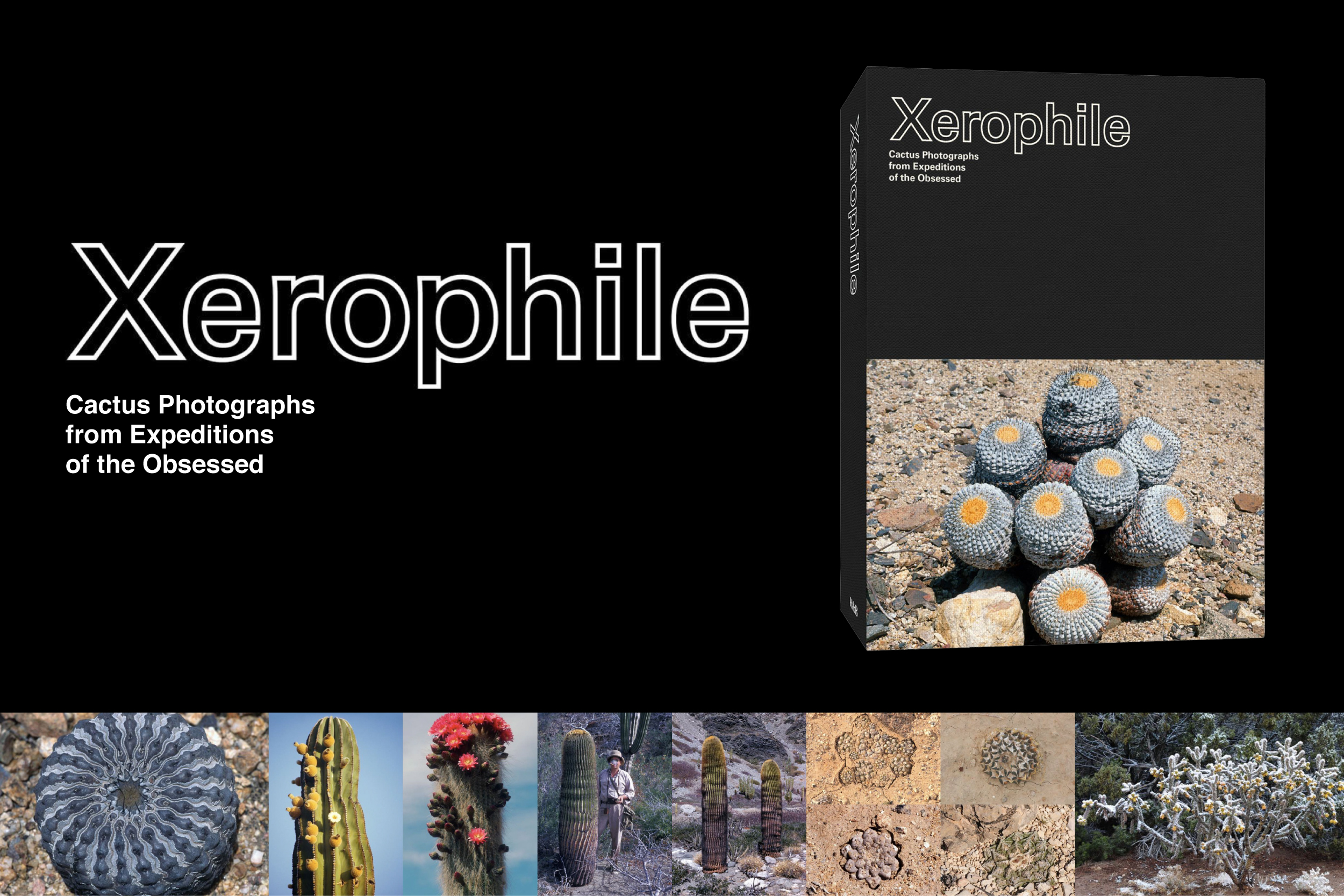 80年間に渡り乾燥地帯の植物を撮影した写真集「Xerophile」が発売 