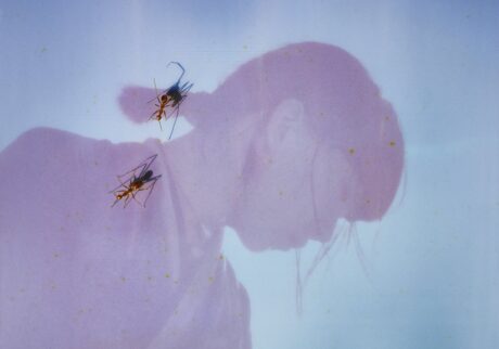 Ichiko_APhoto_LC