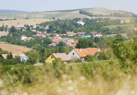 Nesovice town