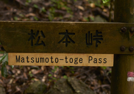 結香さんに熊野古道の松本峠の入り口まで送ってもらう。いざ入り口の前に立ってみると、あれ、これは想像と全く違うかもしれない、という気配を感じながらも、引き返すことも出来ないしと、ひとり踏み込んで進んで行った。