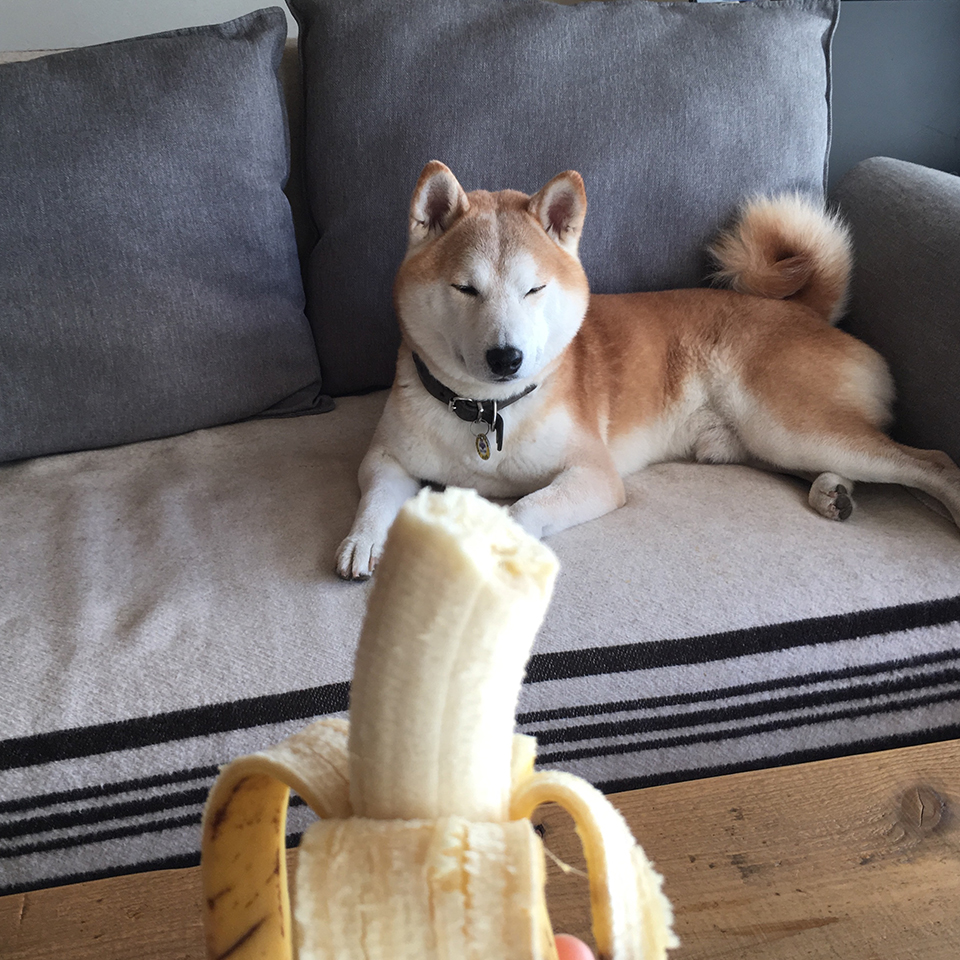 バナナは要りません。