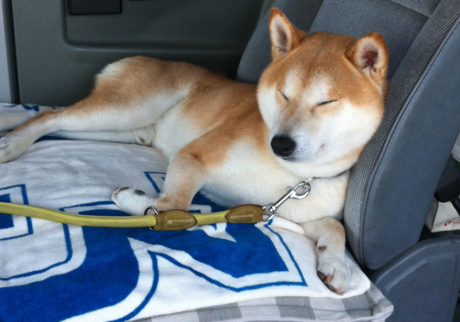 ドライブは眠い。