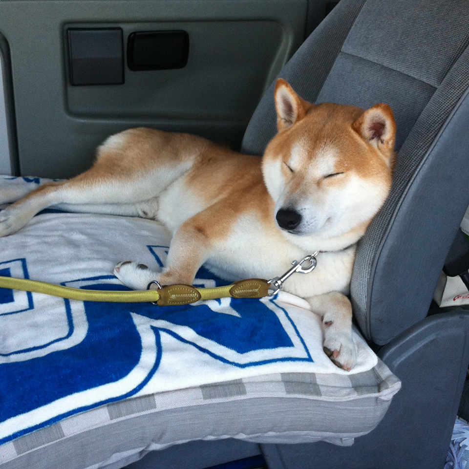 ドライブは眠い。