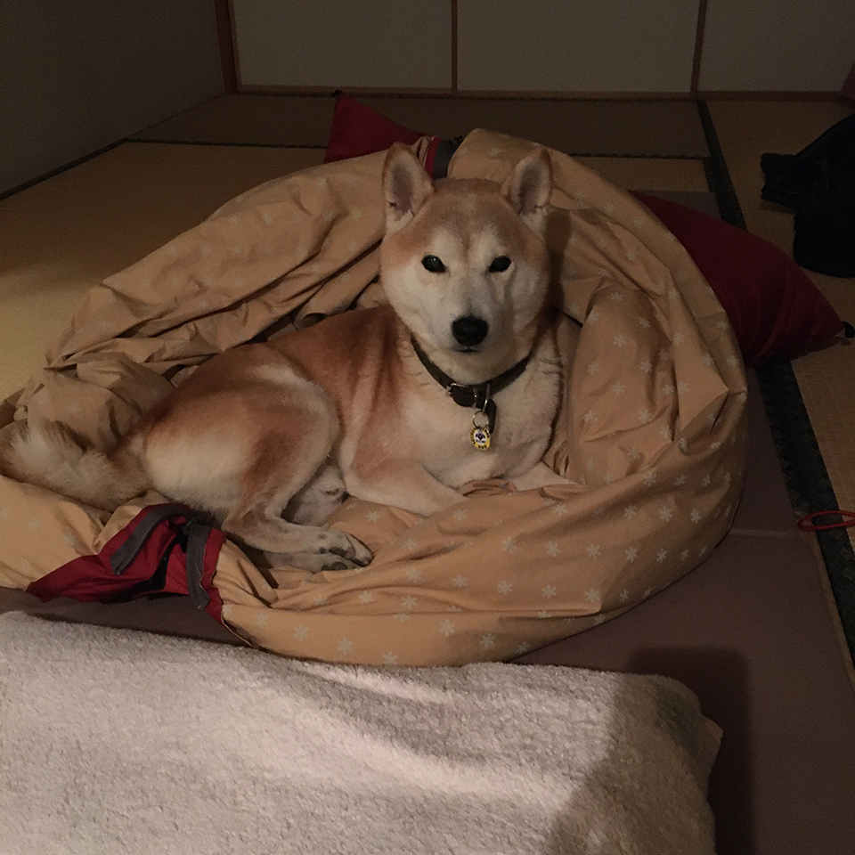 寝袋取ったり! 寝袋取ったり!