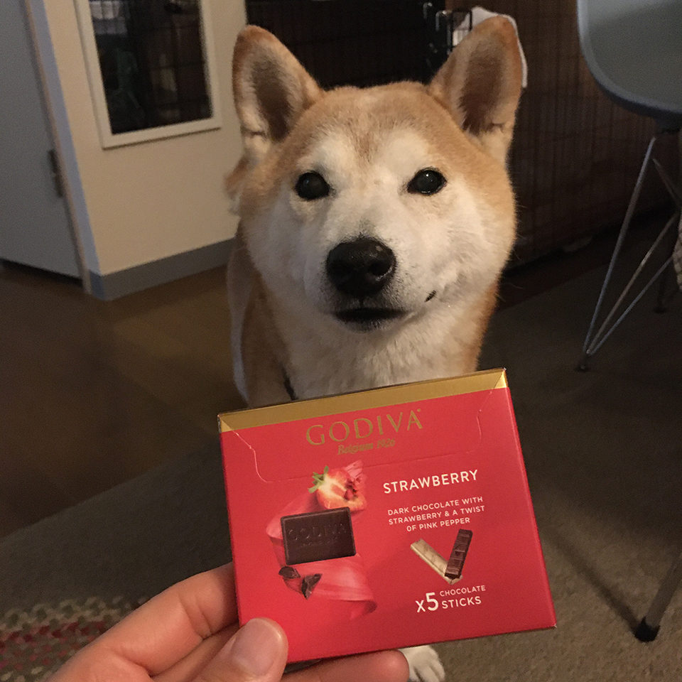 聖バレンタインデー。 聖バレンタインデー。