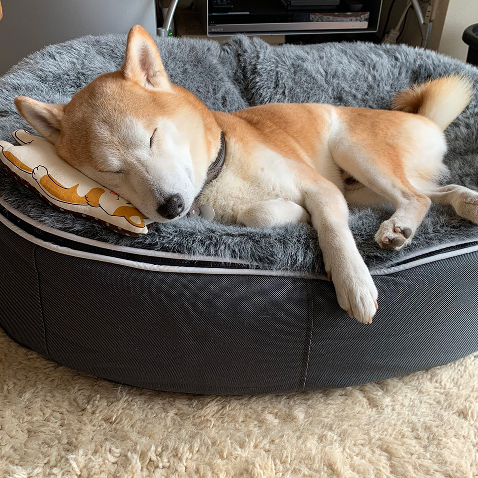 新しい枕。