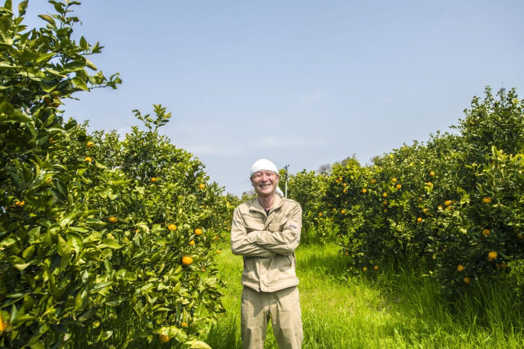 能勢賢太郎さん。生口島は、国産レモンの約3割を栽培する一大産地。