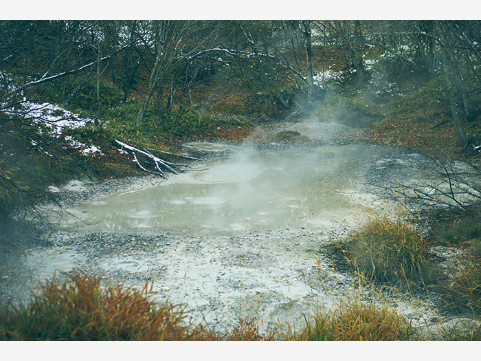 阿寒湖畔の森の中から覗く『ボッケ』。100℃近い泥が火山ガスとともにポコポコと噴き出している。