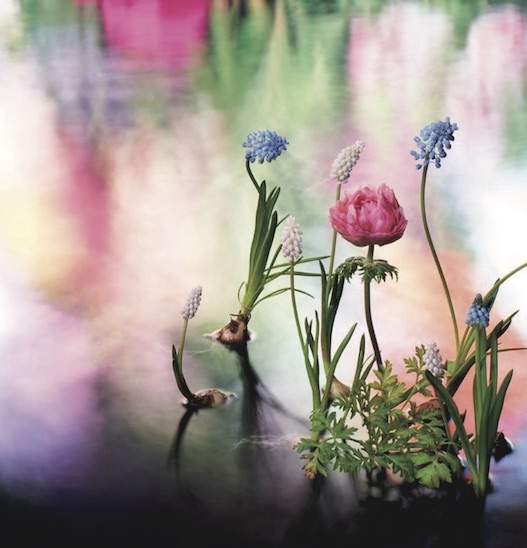 花瓶の花 セリグラフ限定版 ソーヴェ 花瓶の花 セリグラフ限定版 ソーヴェ 花瓶の花 セリグラフ限定版