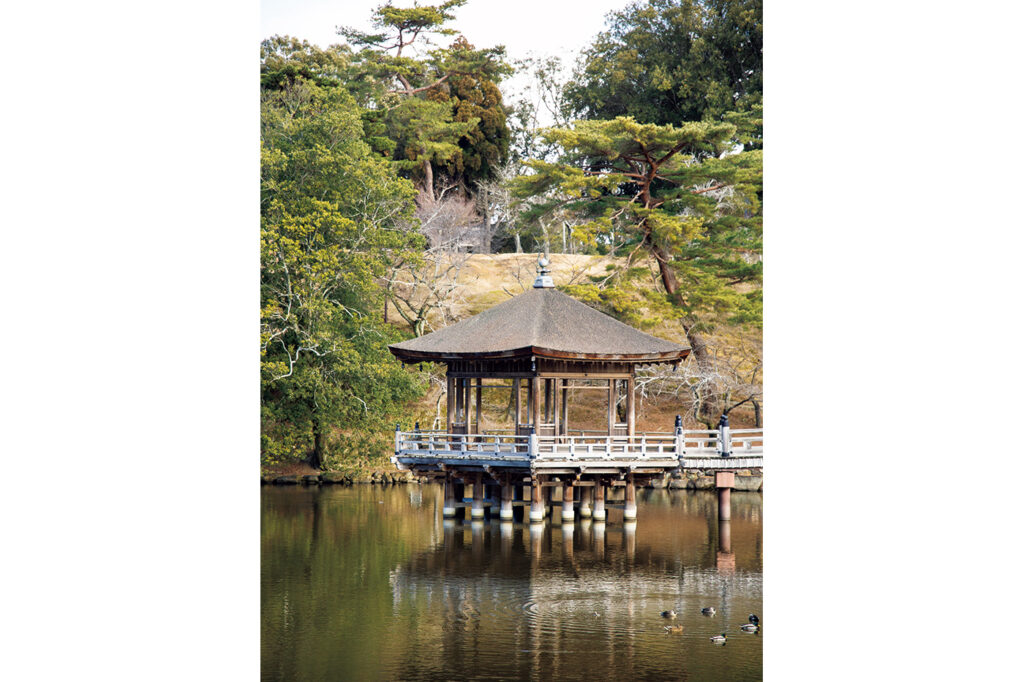 奈良公園内の鷺池に浮かぶ浮見堂は、座って水辺の景色を楽しめるお堂。