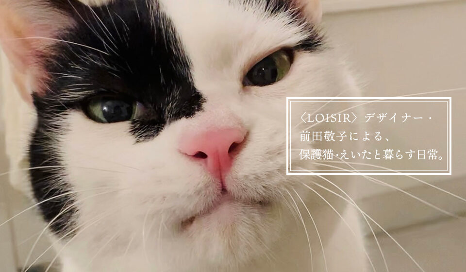 〈LOISIR〉デザイナー・前田敬子による、保護猫・えいたと暮らす日常。 LOISIR えいた 前田敬子