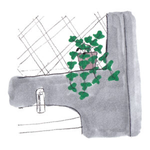 dfgreen-2205-thum