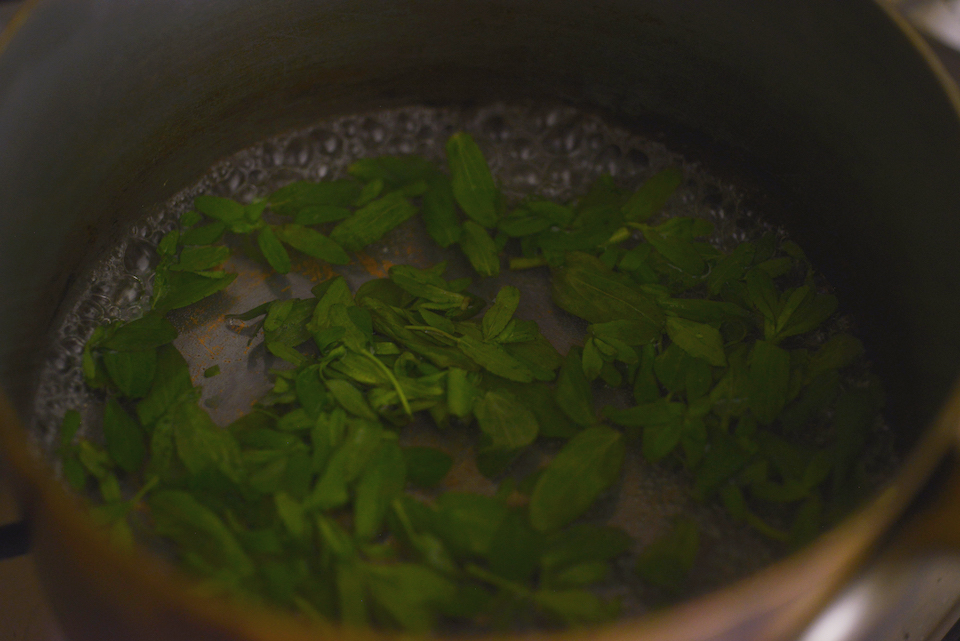 ７.グレーズを作る。鍋に水とセントジョーンズワートの葉を入れて長めに煮詰め冷ます。