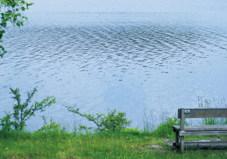 & SHIRAKABAKO 白樺湖のほとりで過ごす、心地よいひととき。