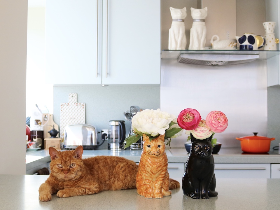 ピムス「これはロンドンのときのおうちのキッチンだよ。ぼくとギネスくんによく似た花瓶もあるよ」