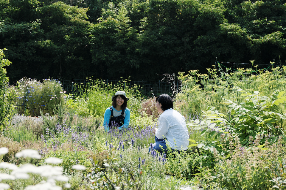 斉藤さんのオーガニック農園で、ハーブの話に花が咲く。