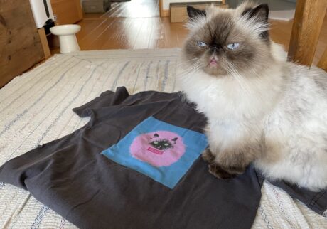 少し前にわたしTシャツのモデルになりました！ ドネーションTシャツで一部が動物の保護活動をしているところへ寄付されるらしい。わたしも元保護猫なので役に立てて嬉しいな。
