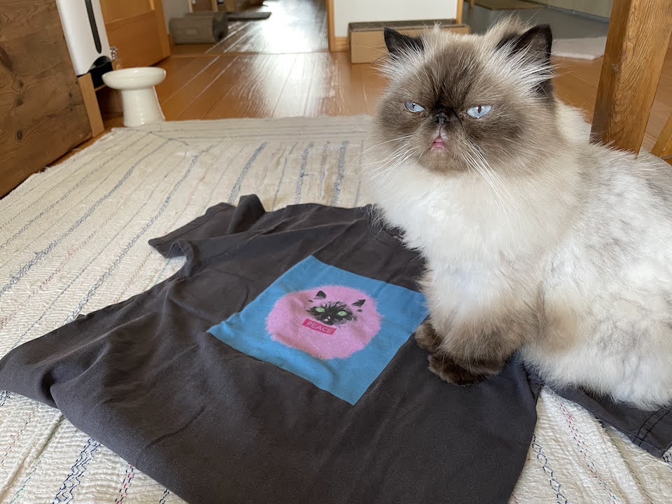 少し前にわたしTシャツのモデルになりました！ ドネーションTシャツで一部が動物の保護活動をしているところへ寄付されるらしい。わたしも元保護猫なので役に立てて嬉しいな。
