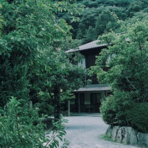 山口県 長門湯本温泉 器 旅 深川萩 若手陶芸家 &premium アンドプレミアム