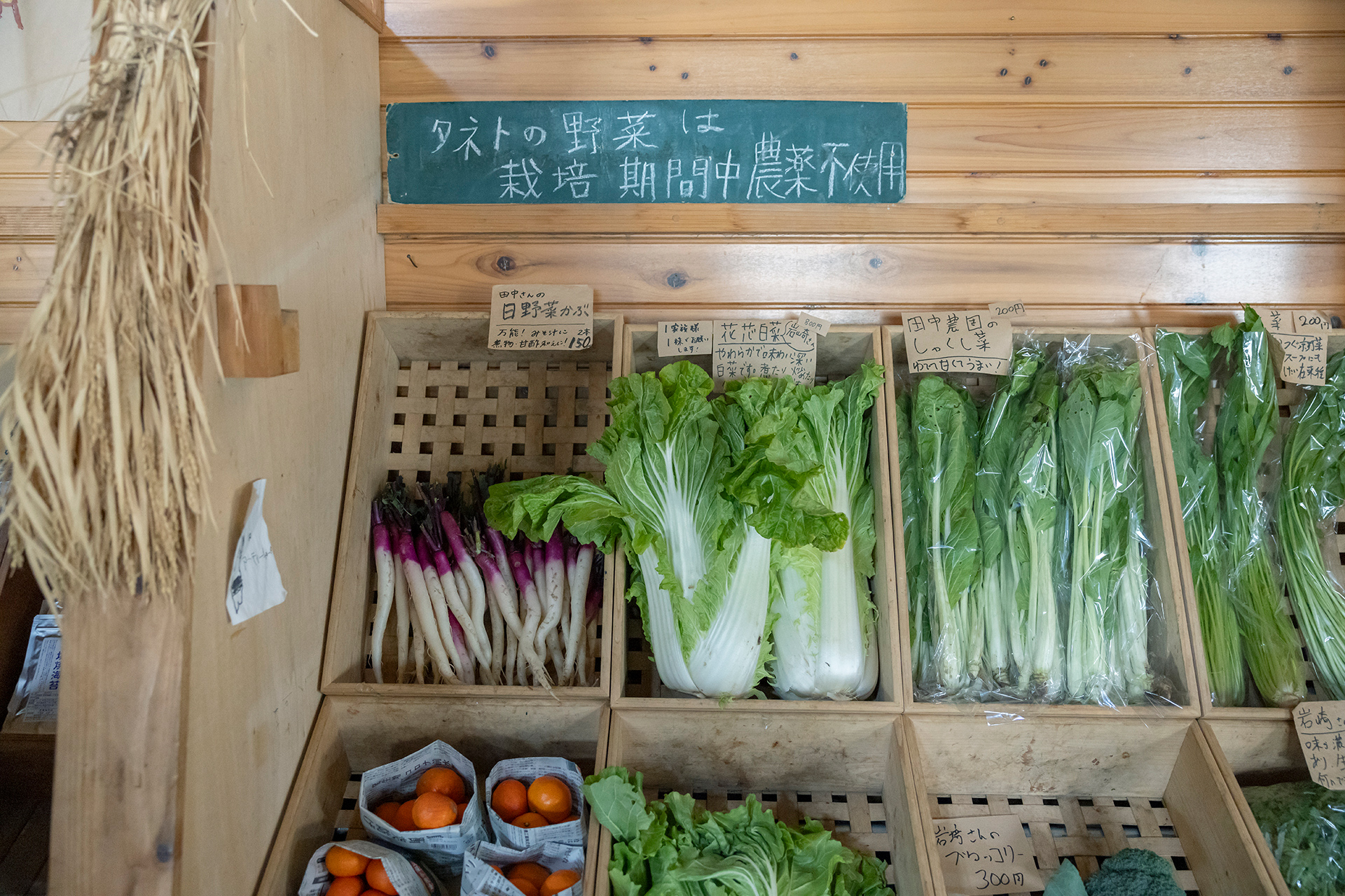 Shopping & Dinner 自家採取で栽培する在来種を未来へ。 雲仙市の野菜を求めて。