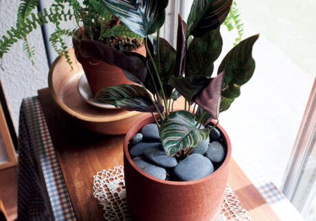 〈ミロ メイド ディス〉の植木鉢：＆days よい一日を、このアイテムと。