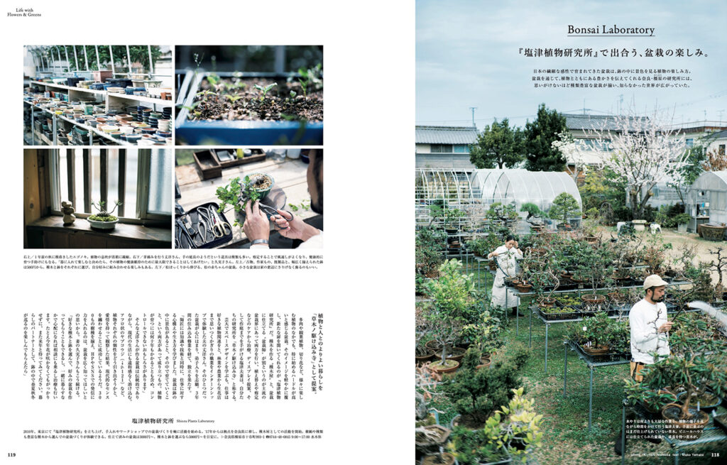 奈良・橿原の『塩津植物研究所』で出合う、持ち帰りたくなる盆栽。