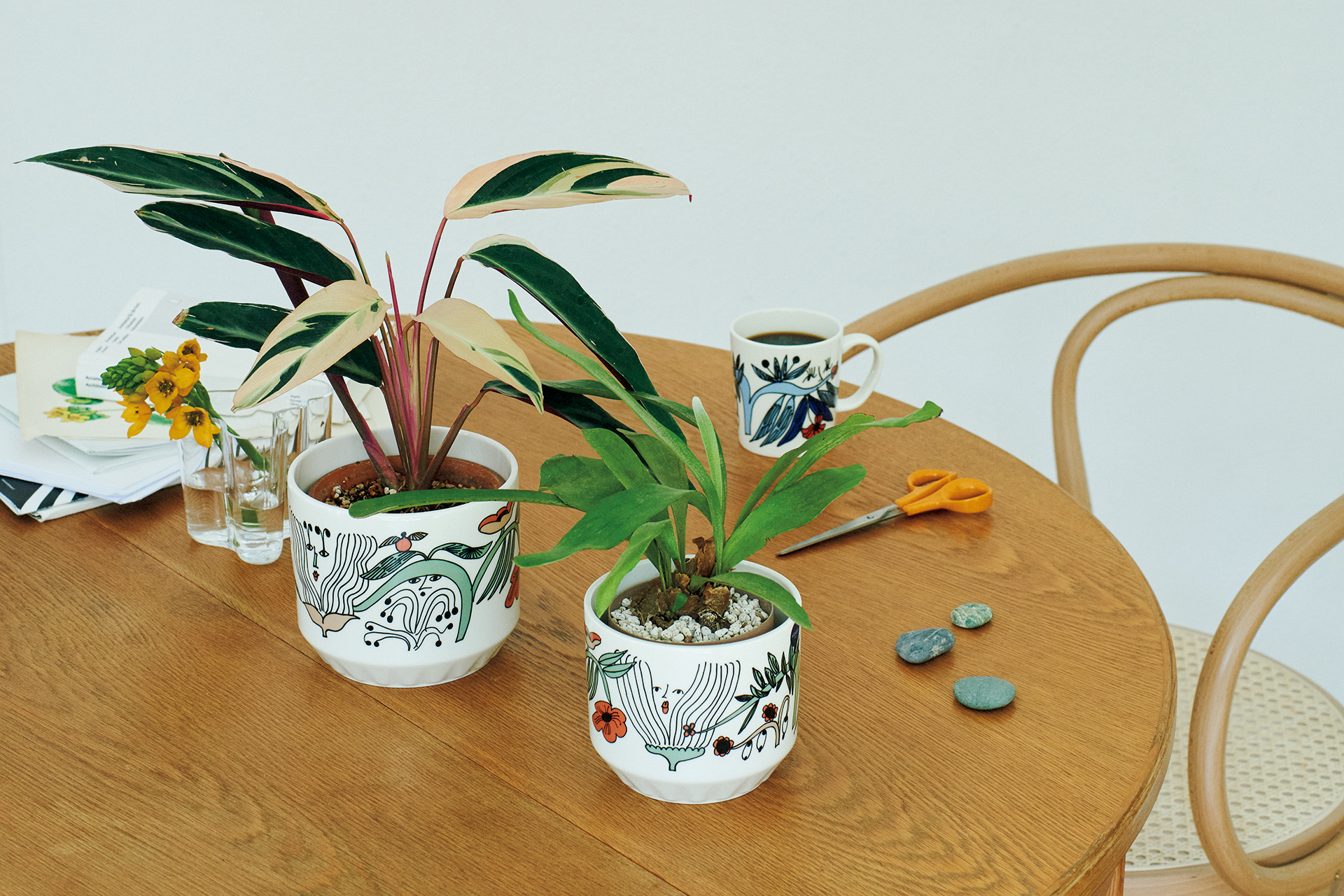 アラビア〉150周年の節目に生まれた、花と緑が躍る新デザイン