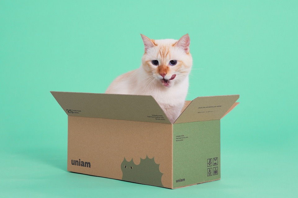 15パック以上購入したときの箱は、猫がすっぽりおさまりやすいサイズ感。猫が入ることを想定して作られたという。パッケージ同様のおしゃれなデザインは、写真映えも期待できる。※実際の箱のデザインは異なる場合があります。