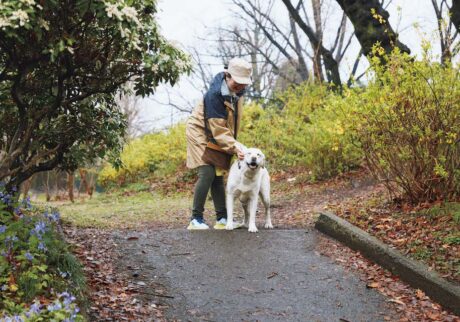 犬と散歩。一日の始まりに彼らと一緒だから得られるもの。ラブラドールレトリバー