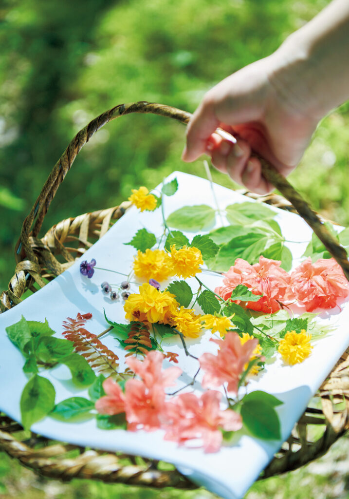 「軽井沢 夏の健幸滞在」では、庭師・関口健一さんの案内で庭をめぐり、摘んだ山野草の花びらや葉を心の赴くままに並べることで、心の感度を高める体験ができる。