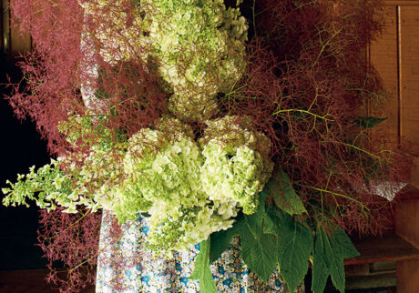今月の花「カシワバアジサイ」：＆days よい一日を、このアイテムと。 ル・ベスべ