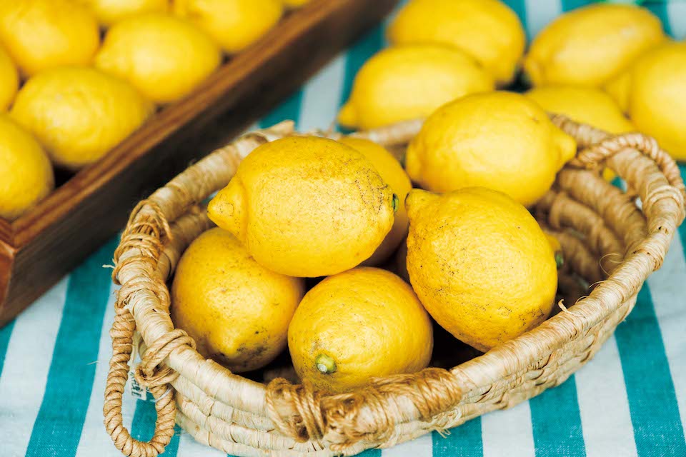 自然農法で栽培された柑橘を扱う『レモンラボ』（瀬戸田町瀬戸田284‒3）。穫れたて自然農レモンが購入できる。