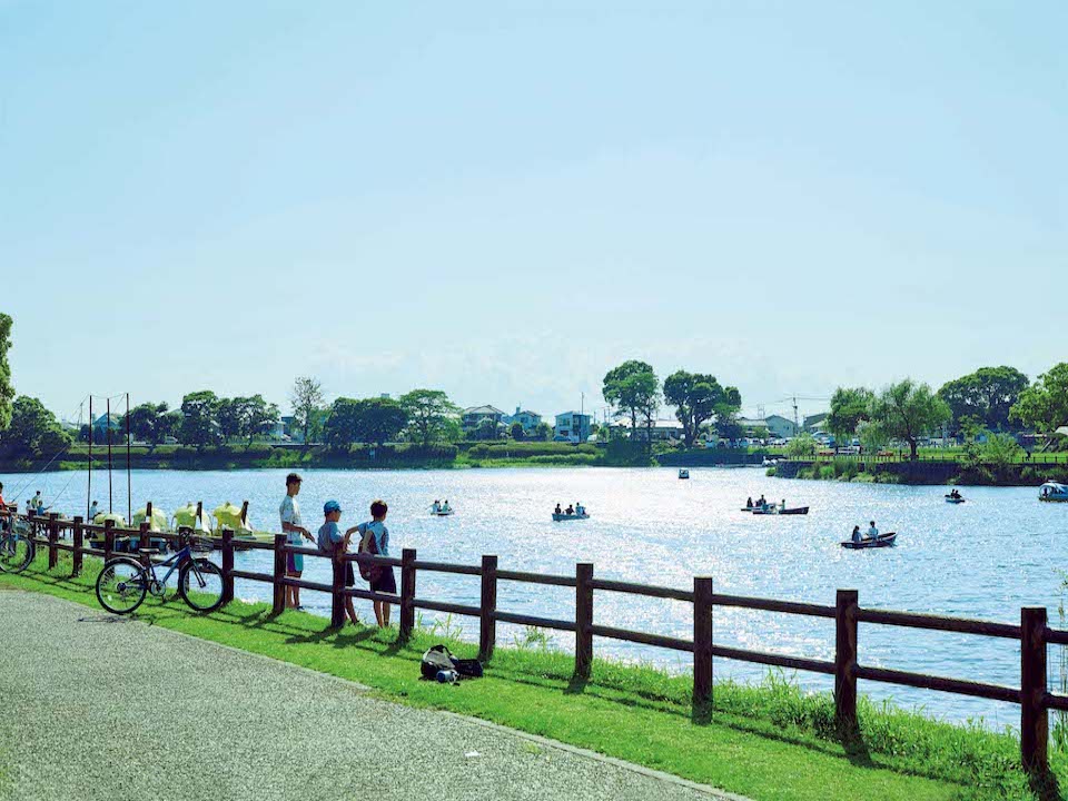 一日に約58万トンもの湧水量を誇る江津湖は街の水を支える存在であり、「熊本の豊かさを実感する場所」。週末はボートを漕ぐ人で賑わう。