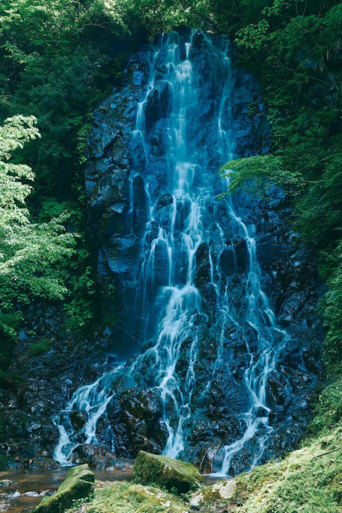 霧降りの滝
網野の山あいに迫力ある姿で現れる霧降りの滝は、流れ落ちる水が岩肌にあたり、水しぶきが霧となって降り注ぐことから名付けられた。落差約21ｍ、幅約4 ｍ。滝の斜面には不動明王の姿が彫られる。photo : Yoshiki Okamoto