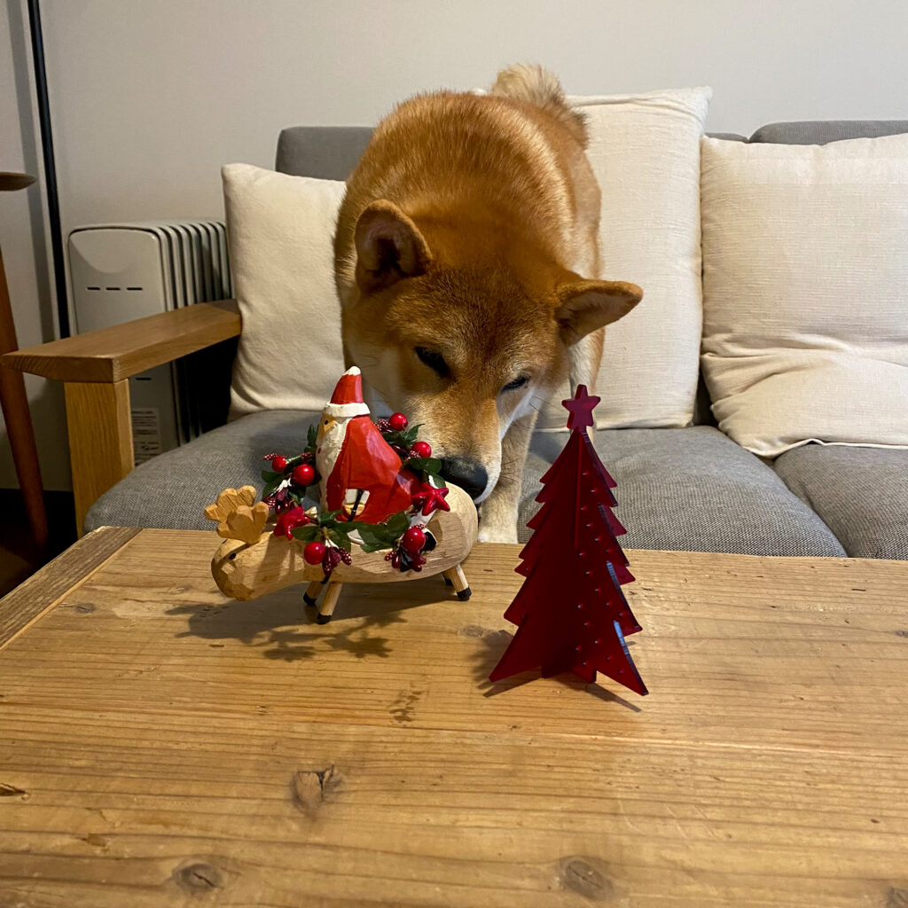 ハルのワンダフルライフ 柴犬 シバイヌ 子犬 クリスマス 年末
