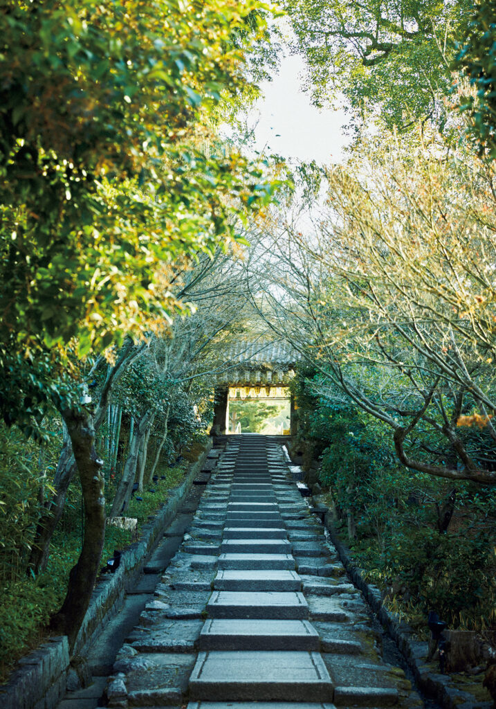豊臣秀吉と北政所・ねねゆかりの高台寺も徒歩圏内にある。昼間は観光客で賑やかだけれど、早朝は静寂に包まれている。