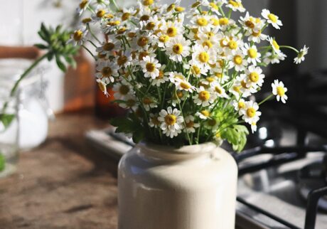 [hidefeed]@sho___ko.k[/hidefeed]
お気に入りの
ポメリーマスタードの容器にお花を生けました。
お花は
マトリカリア です。