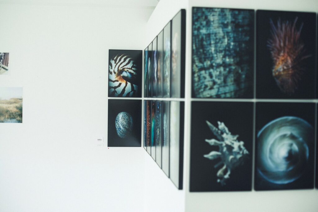 SHELL / AKIRA YAMAGUCHI
山口明さんは、貝をマクロで撮ったシリーズ写真を展示。