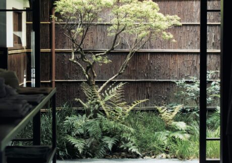 店のフィロソフィーに寄り添い育つ、『ババグーリ 京都』の庭。