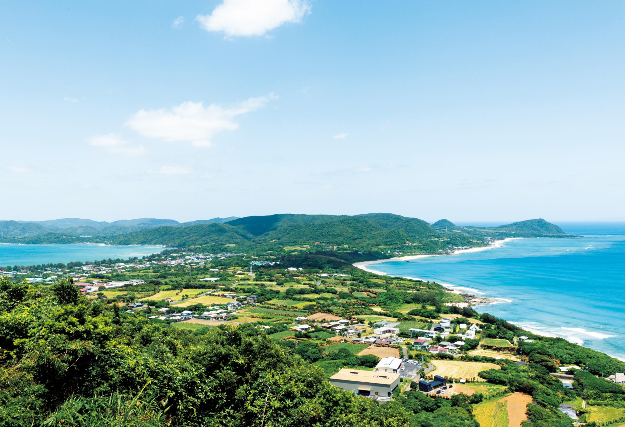 54cff27f7ce5f64a2d294901226600