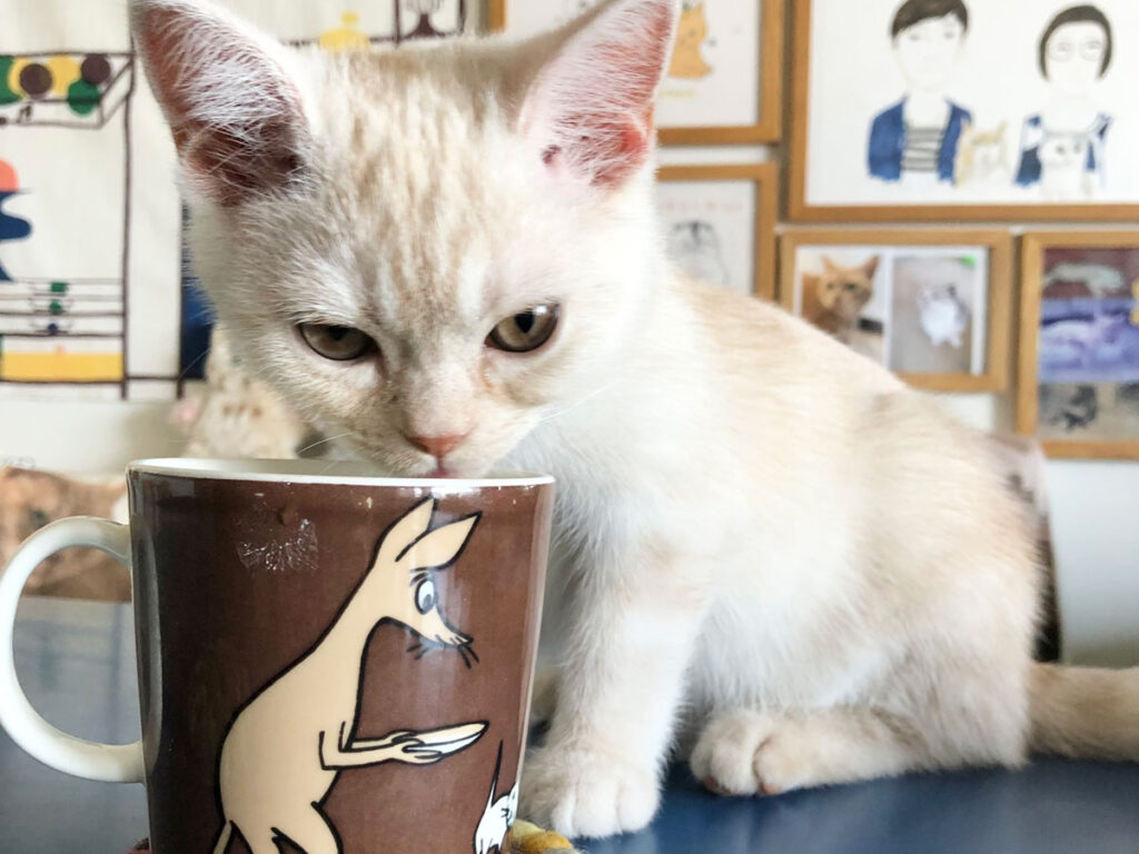 きょうは、ぼくがお水を飲む時のコップを紹介するね。