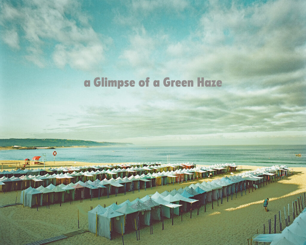 高橋ヨーコさんの写真展 「a Glimpsw of a Green Haze」が、名古屋の『Dhal Homes』で開催。