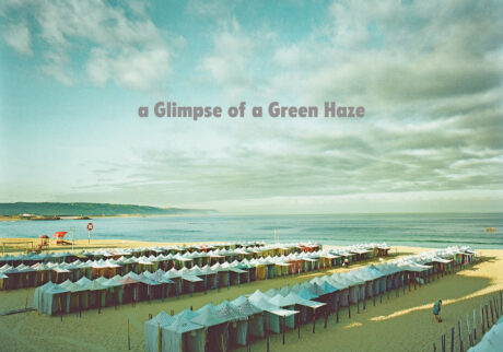 高橋ヨーコさんの写真展 「a Glimpsw of a Green Haze」が、名古屋の『Dhal Homes』で開催。