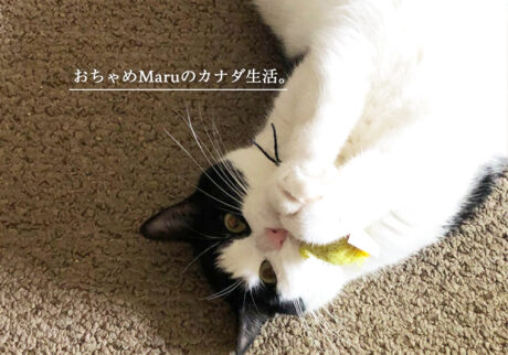 おちゃめMaruのカナダ生活。