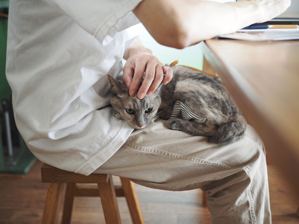 だからね、ぜったいに寝ないわよ。大事なお仕事だからね……。