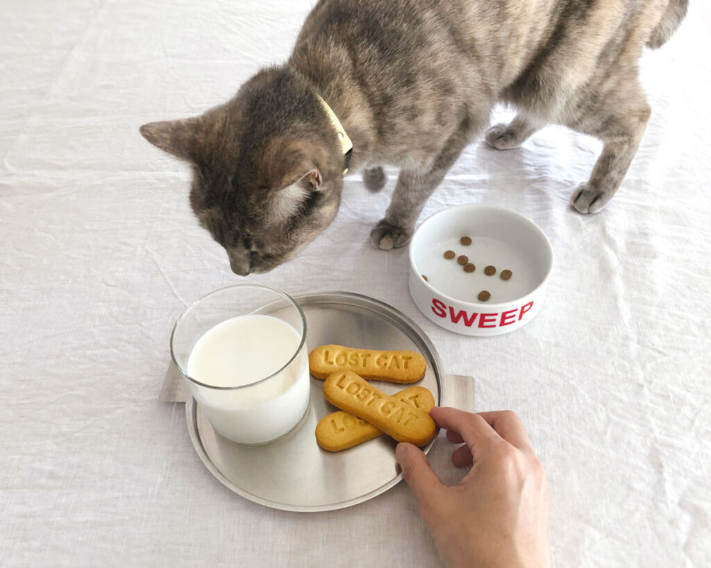 ちょっと、もっぷにも味見させてくださる？ かいぬし「えっ、ミルクのほう！？」