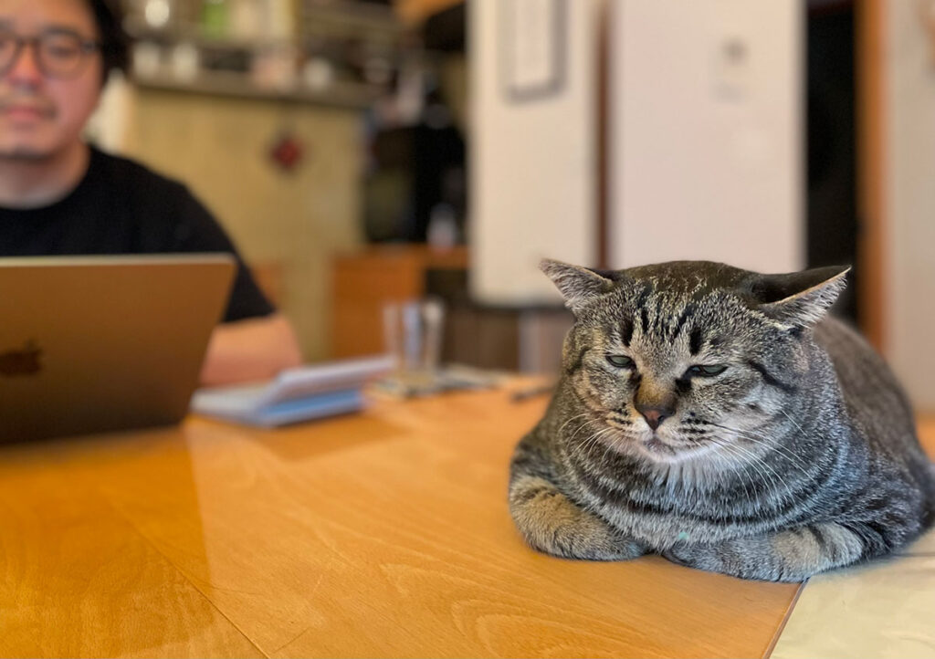 チーン、熟睡。でもお父が大好きやから、側は離れたくないねん。優しくて、面白い遊びをいっぱいしてくれるから、お家では寝るときもお父の近くやで。