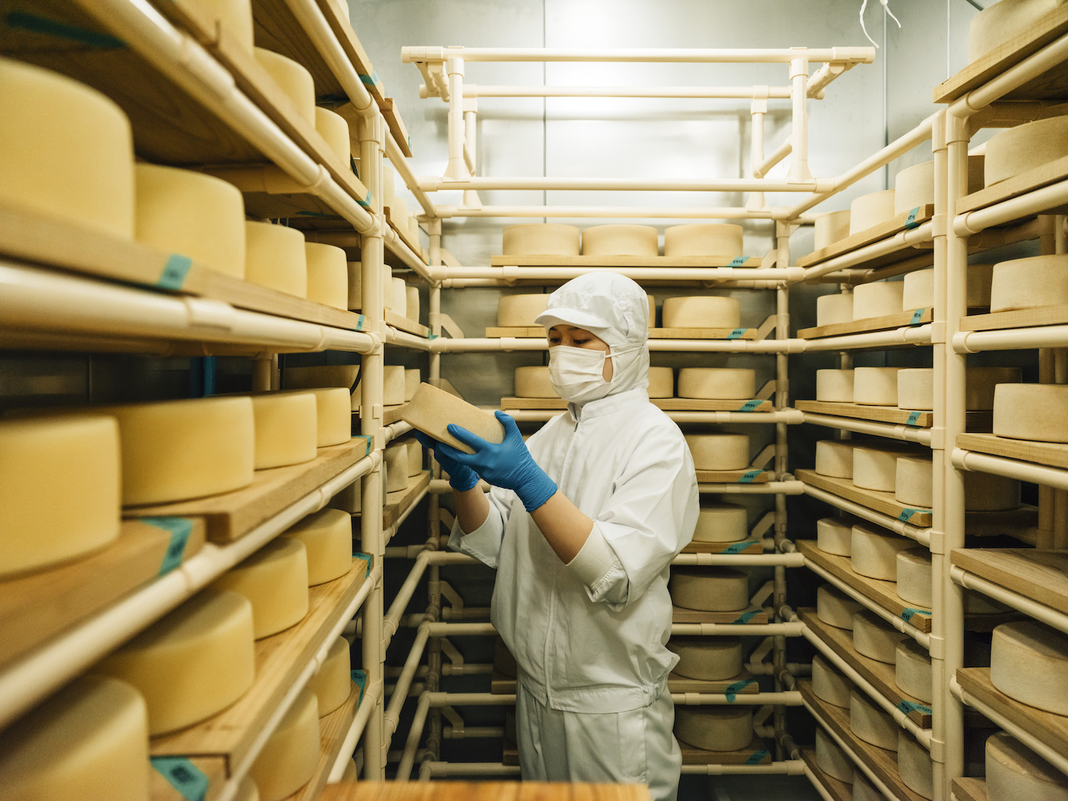 もっと知りたい国産ナチュラルチーズのおいしさと魅力。「チーズ工房